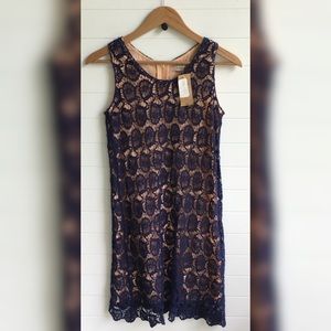 Cremieux Cream Lace Overlay Navy Dress NEW Sheath